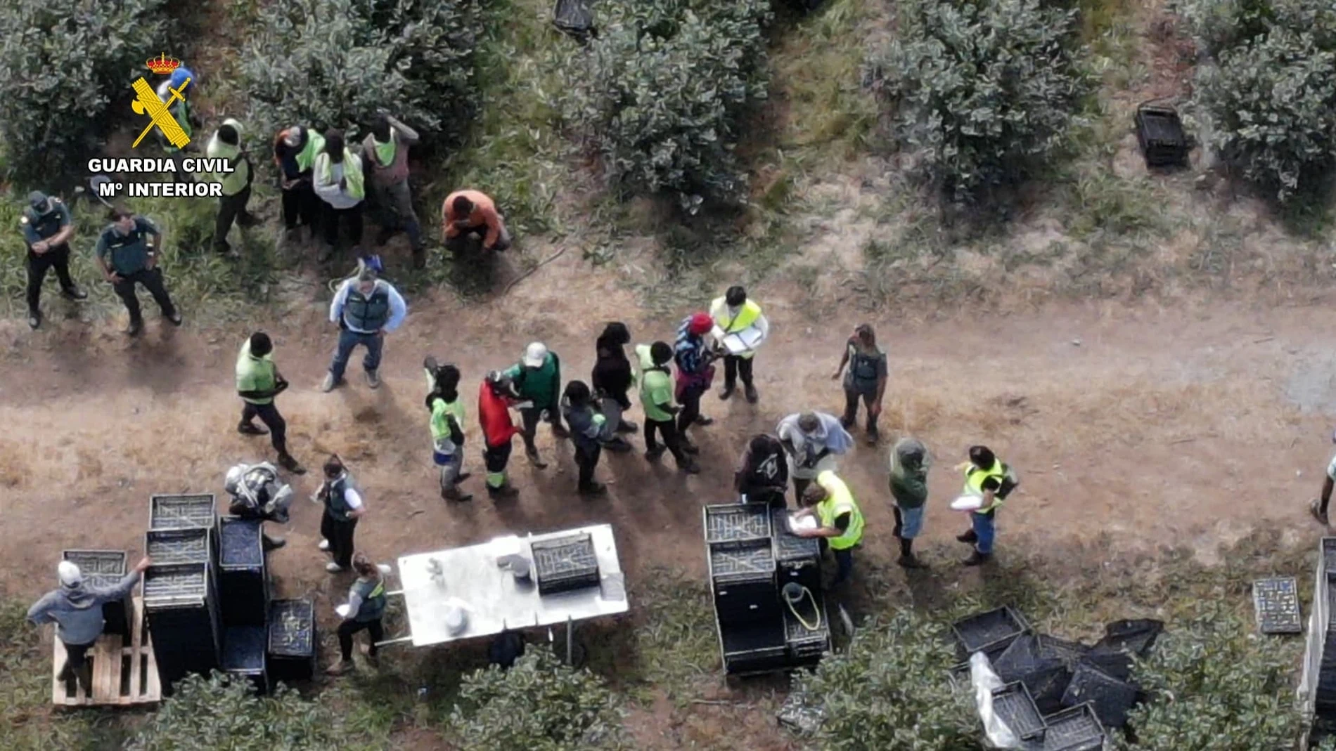 Inspección de la Guardia Civil y la ITSS de Lugo en una finca agrícola de la provincia, donde fueron identificados 82 trabajadores extranjeros en situación irregular. Se investiga a tres personas por estos hechos. REMITIDA / HANDOUT por Guardia Civil Fotografía remitida a medios de comunicación exclusivamente para ilustrar la noticia a la que hace referencia la imagen, y citando la procedencia de la imagen en la firma 28/01/2025
