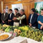 Presentación de la presente campaña del Campo de Elche, Alicante