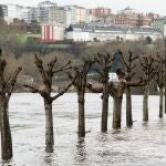 Efectos de la borrasca Herminia en Galicia