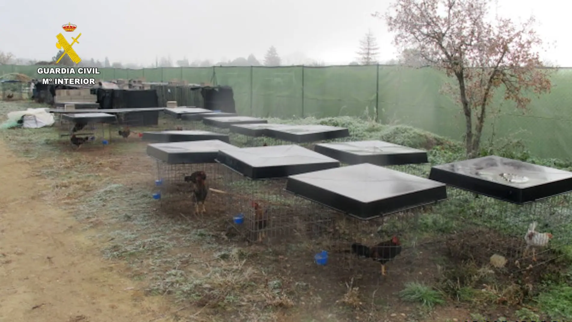 Espacio donde estaban las aves en Tudela de Duero