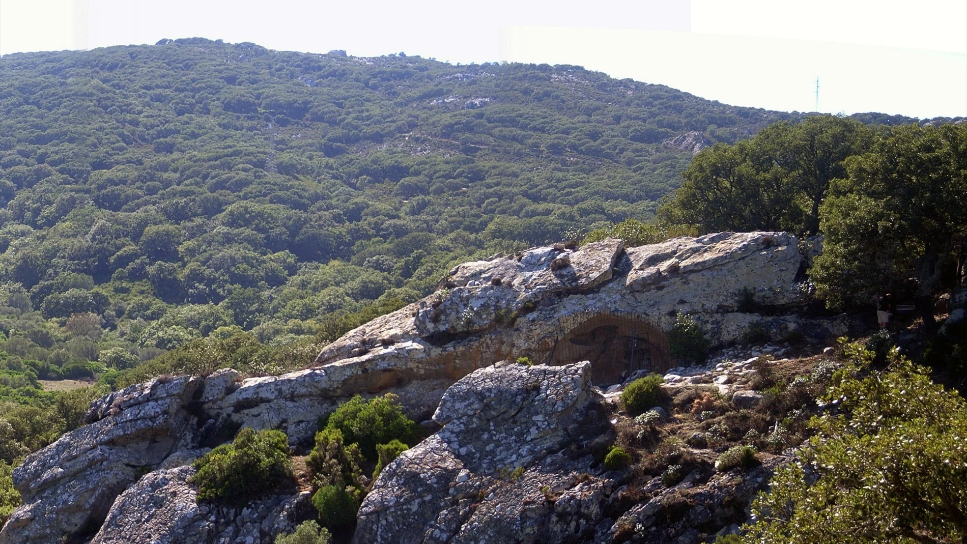 Entorno de Laja Alta