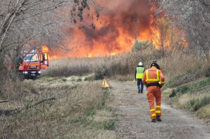 Controlado el incendio de la marjal de Sagunto después de una noche de trabajo