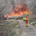 Controlado el incendio de la marjal de Sagunto después de una noche de trabajo