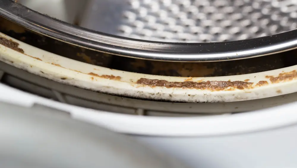 La lavadora es un electrodoméstico indispensable en nuestro hogar y está prácticamente en todas las casas, lo que ayuda a lavar la ropa de manera eficiente y ahorrar en tiempo