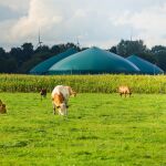 Economía.- Moeve lanza plan para desarrollar 30 plantas de biometano en España para 2030 con inversión de 600 millones