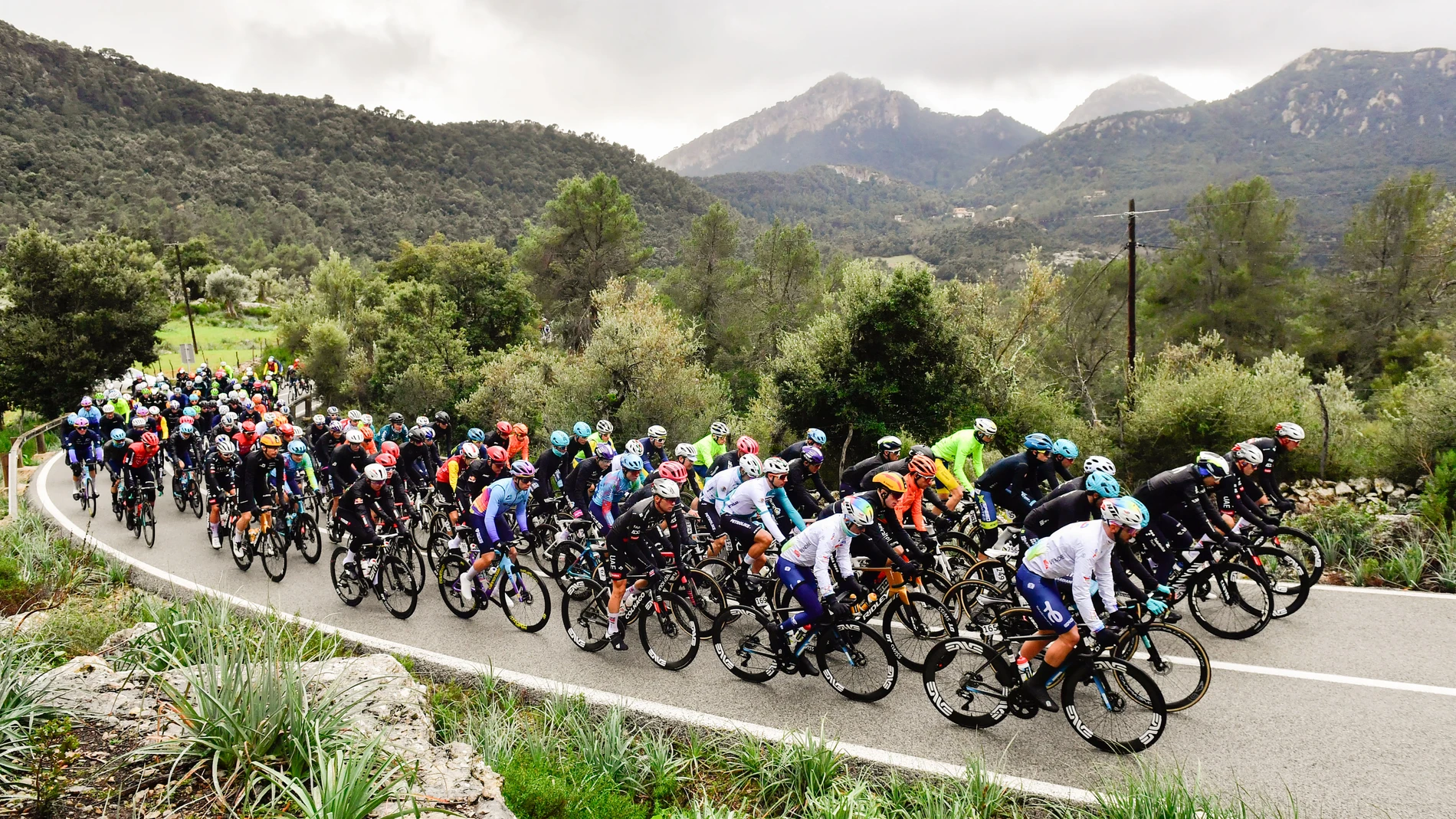 ESCORCA (MALLORCA), 31/01/2025.- El pelotón a su paso por Escorca (Mallorca) durante la tercera prueba trofeo Serra de Tramuntana de la Challenge Ciclista que se disputa en Mallorca. EFE/ Miquel A. Borràs