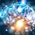 magen de un cerebro humano