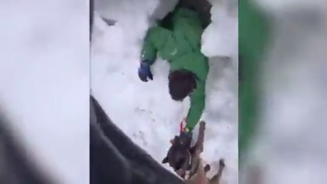 Así actúan los perros de rescate de personas de la Guardia Civil