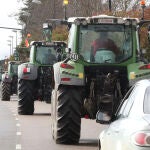 Agricultores y ganaderos llegan a Zamora desde varios puntos de la provincia