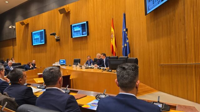 Las jornadas por la equiparación en el Congreso de los Diputados