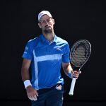 Tenis.- Djokovic asegura que su lesión del Abierto de Australia está "curada casi al 100 por 100" y espera estar en Doha