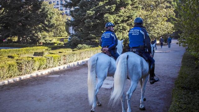 Caballos de la Policía Municipal