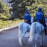 Caballos de la Policía Municipal