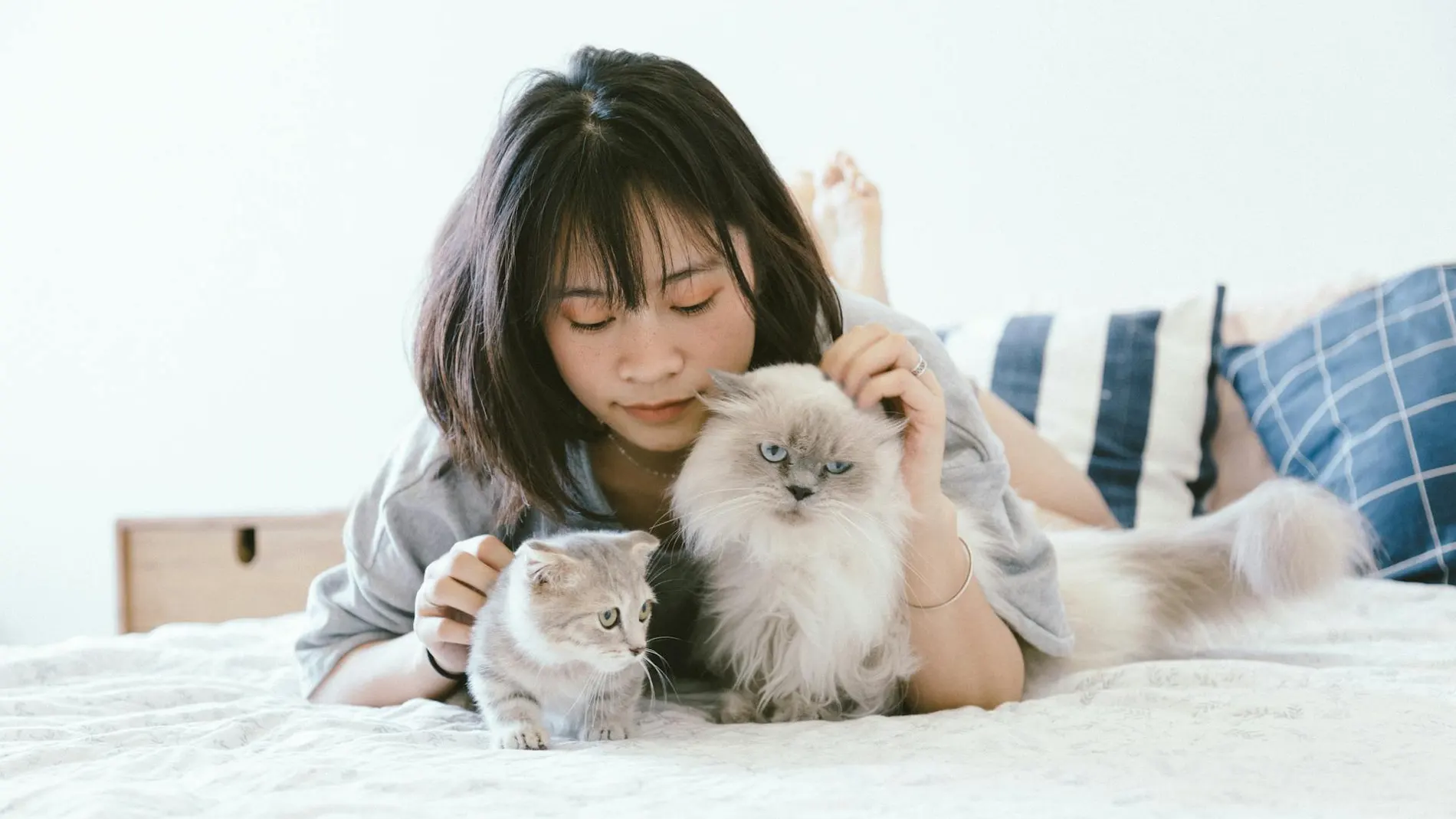 Mujer con gatos
