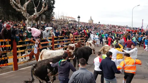 Encierro de los Carnavales de Ciudad Rodrigo
