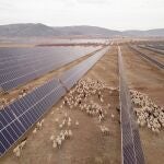 Parque fotovoltaico de Naturgy