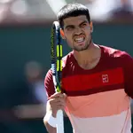Alcaraz celebra la victoria ante Quentin Halys
