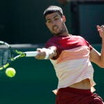 Alcaraz golpea desde el fondo de la pista ante Shapovalov