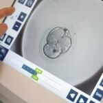 Visión del desarrollo embrionario en uno de los incubadores time-lapse del Hospital Río Hortega de Valladolid
