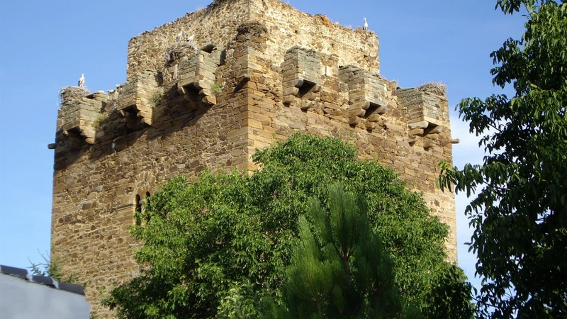 Castillo de los Conde de Luna