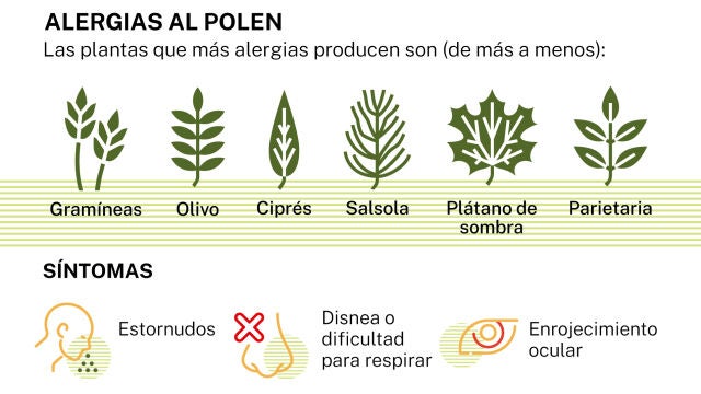 Alergias 2025