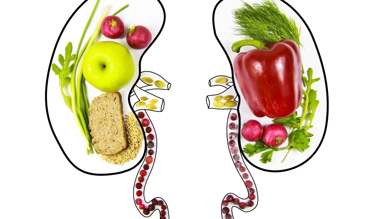 Diet for Healthy Kidneys: Live Longer, Avoid Chronic Kidney Disease - News Directory 3