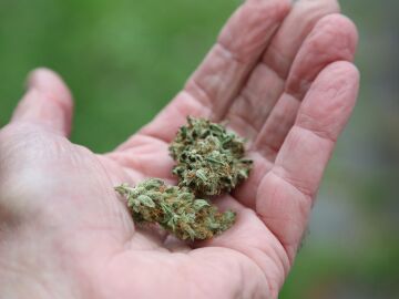 MURCIA.-El consumo de tabaco, alcohol y cannabis entre los jóvenes de la Región se sitúa por debajo de la media nacional