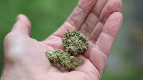 MURCIA.-El consumo de tabaco, alcohol y cannabis entre los jóvenes de la Región se sitúa por debajo de la media nacional