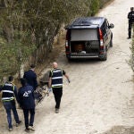 Aparece un cadáver en el río Segura que podría corresponderse con la persona desaparecida el 8 de marzo en Murcia