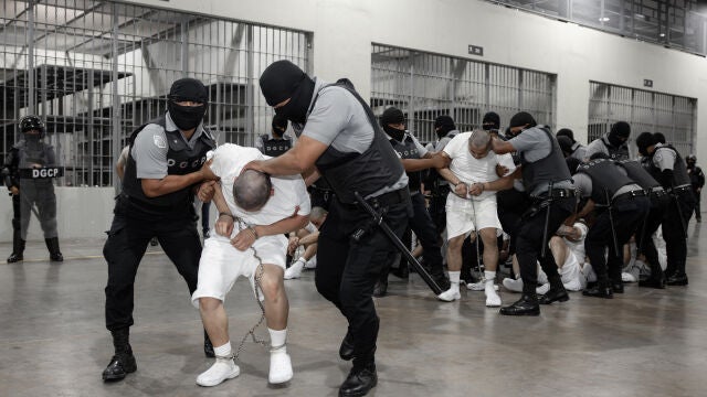 Bukele y Trump actúan fuera de los marcos legales con el envió a El Salvador de migrantes