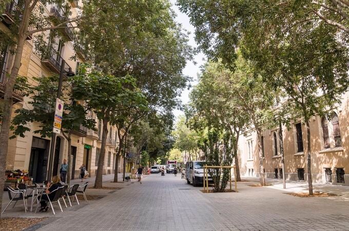 Un tramo del eje verde de la calle de Consell de Cent