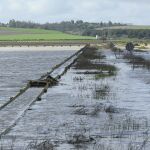 Numerosas explotaciones agrícolas han quedado inundadas tras las persistentes lluvias