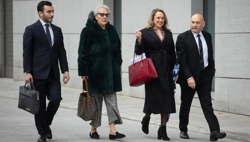 AMP.- Carmen Pano se ratifica ante la Audiencia Nacional y mantiene que entregó 90.000 euros en la sede del PSOE