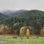 Así es este santuario natural en el corazón de Ourense