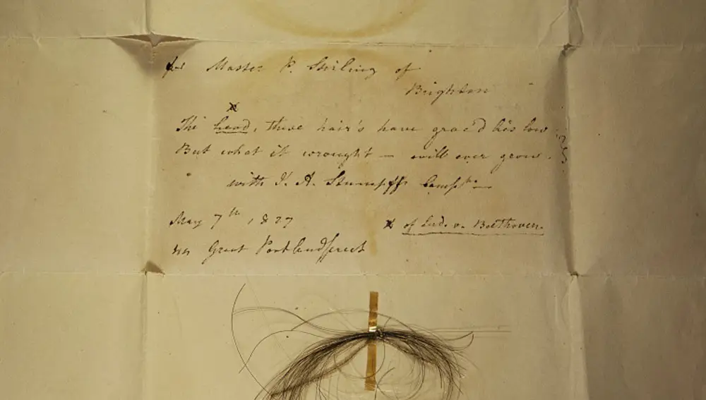 Mechón de pelo de Beethoven
