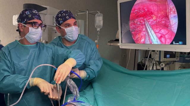 Los doctores Diego González Rivas y Régulo Ávila durante la intervención