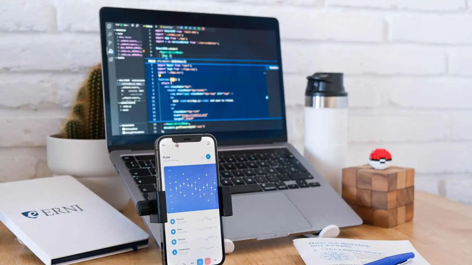 Erni está especializada en software