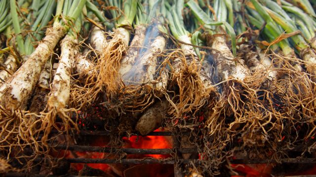 La temporada de calçots depende del invierno y cobra relevancia entre noviembre y marzo