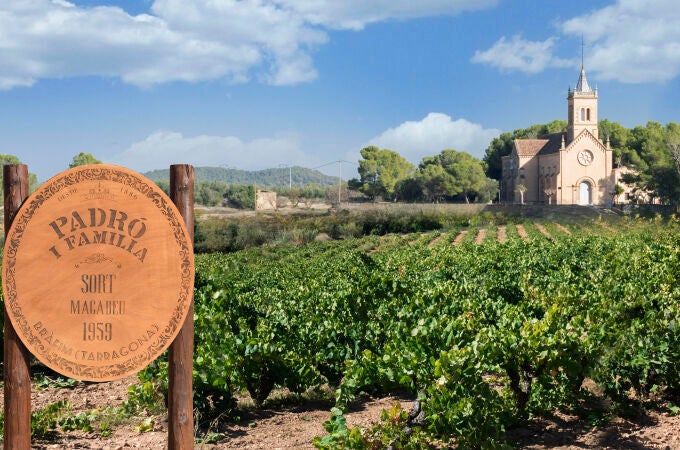 Detalle finca Vermouth Casa Padró