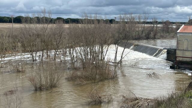 Río Adaja a su paso por Valdestillas