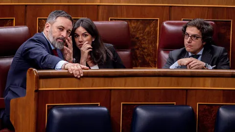 Vox defenderá hoy en el Congreso frenar la ley sobre 'lobbies' por no incluir a partidos, sindicatos ni patronales