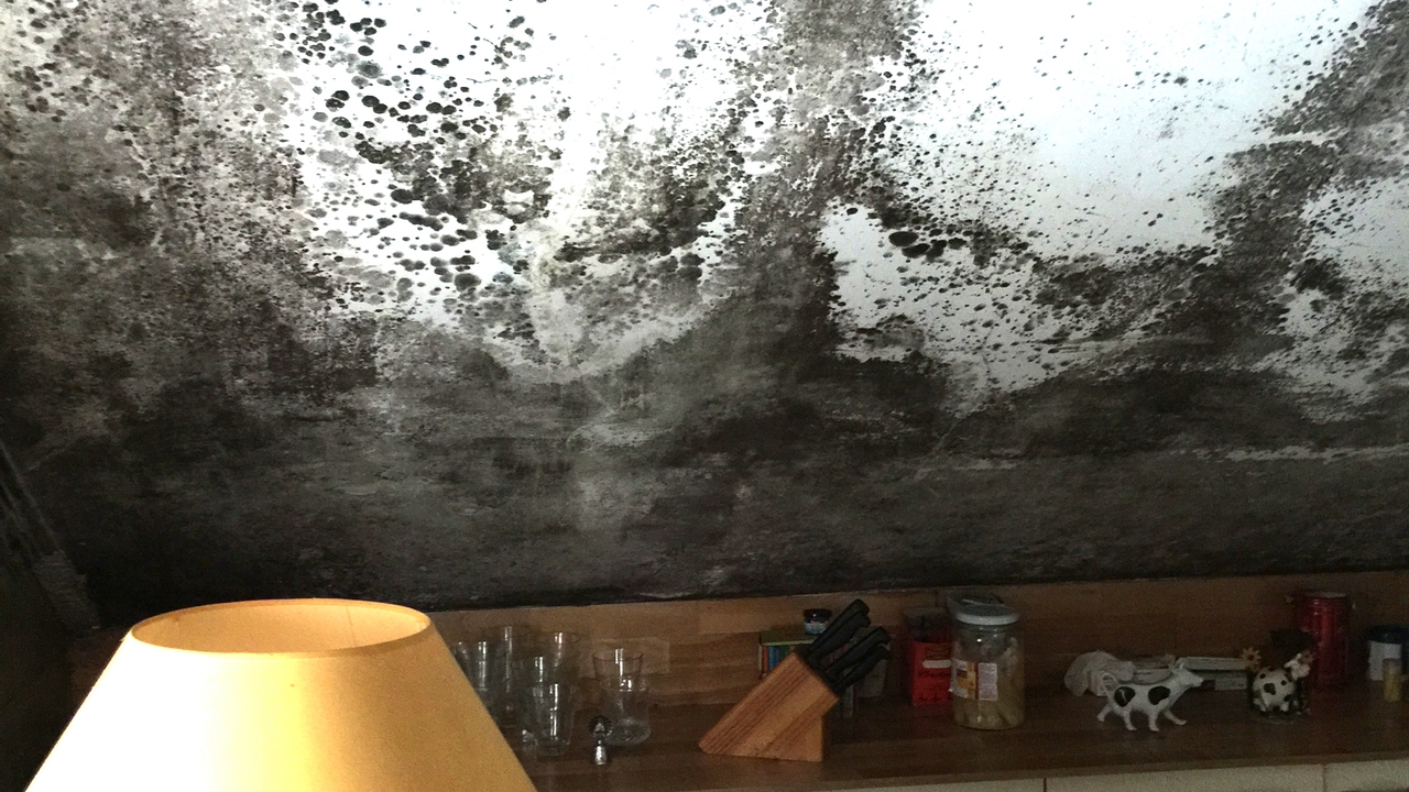 ¿Cómo afectan las humedades a nuestra salud: soluciones para un hogar saludable