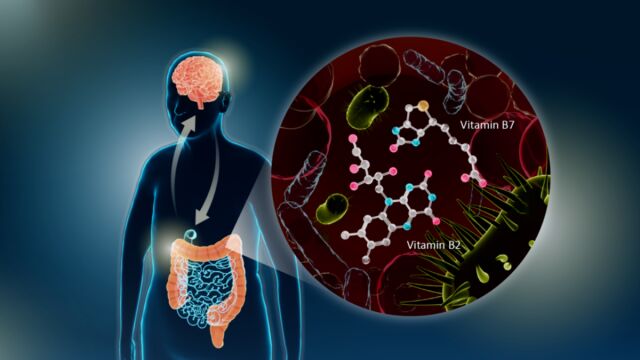 Se ha probado administrar suplementos en pacientes con Parkinson