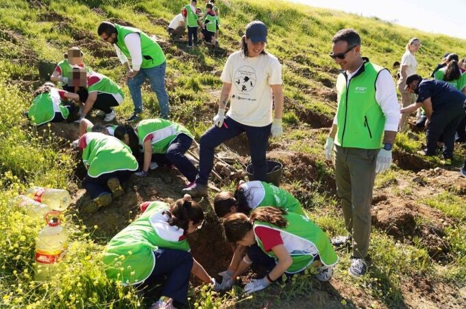 Unicaja.- Fundación Unicaja plantará más de 6.500 árboles gracias a su campaña 'Un niñ@, un árbol'