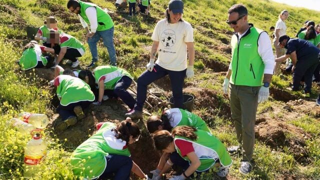 Unicaja.- Fundación Unicaja plantará más de 6.500 árboles gracias a su campaña 'Un niñ@, un árbol'