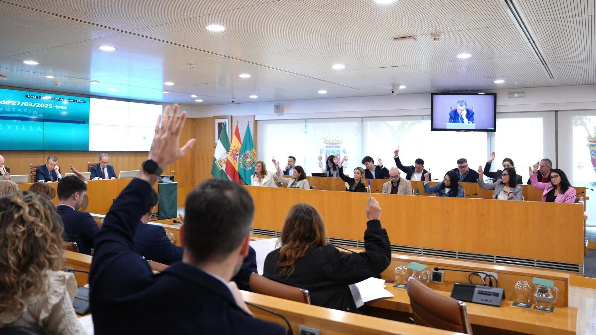 La Diputación de Sevilla aprueba por unanimidad el protocolo para actuar en la Fosa Monumento