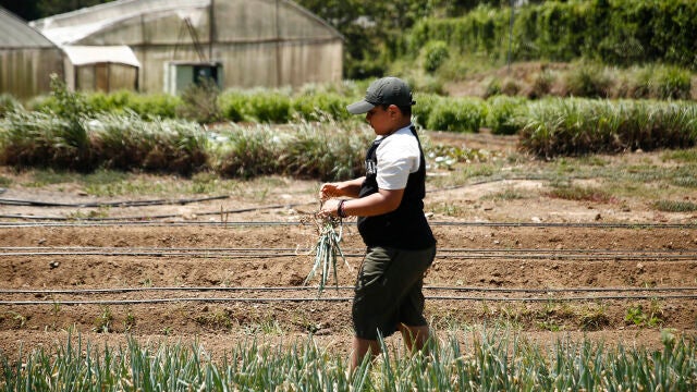Agroecología en El Salvador: El éxito de un proyecto liderado por mujeres
