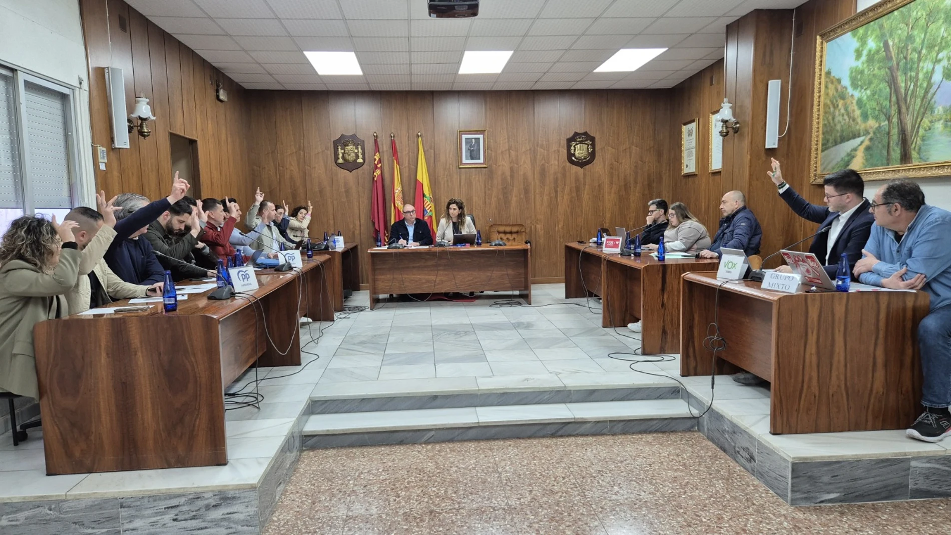 Pleno del Ayuntamiento de Archena