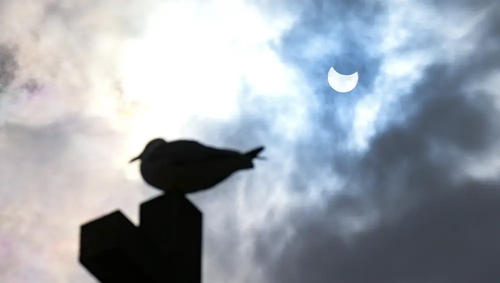 Eclipse parcial del sol