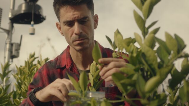 Formación Profesional: Ferrán Fernández, desarrollador especializado en teledetección de la vegetación